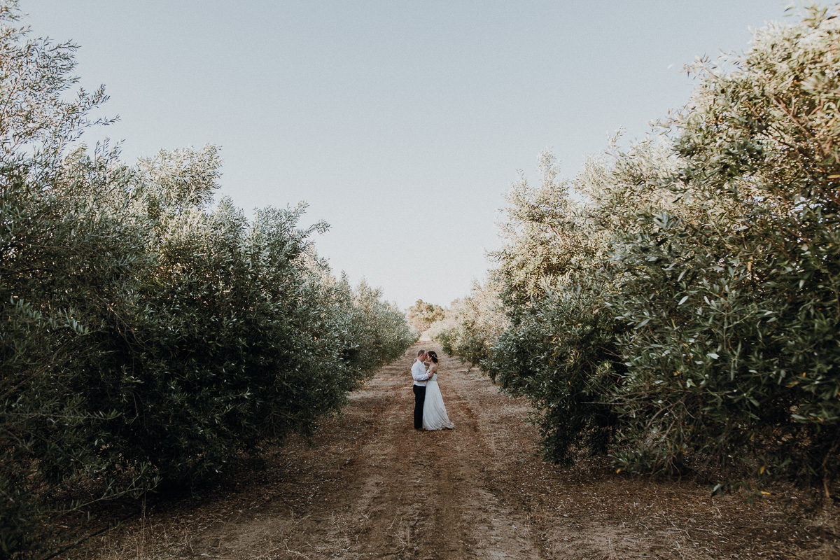佩吉·萨斯(Peggy Saas)-珀斯(Perth)万象城摄影师-橄榄农场wedding-5.jpg