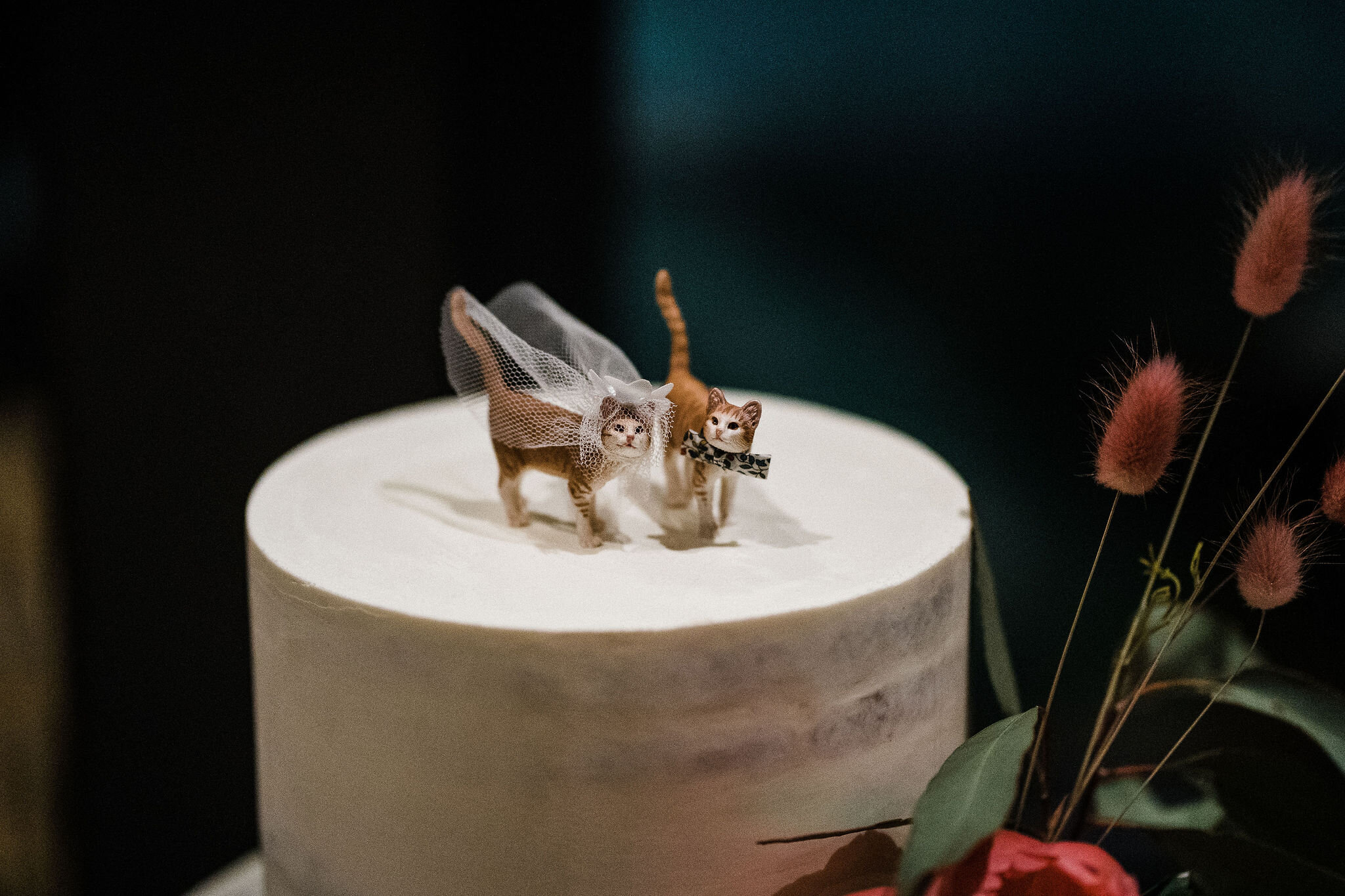 佩吉·萨斯(Peggy Saas)-珀斯(Perth)婚礼摄影师-马蒂达湾(Matilda Bay)Wedding-13.jpg