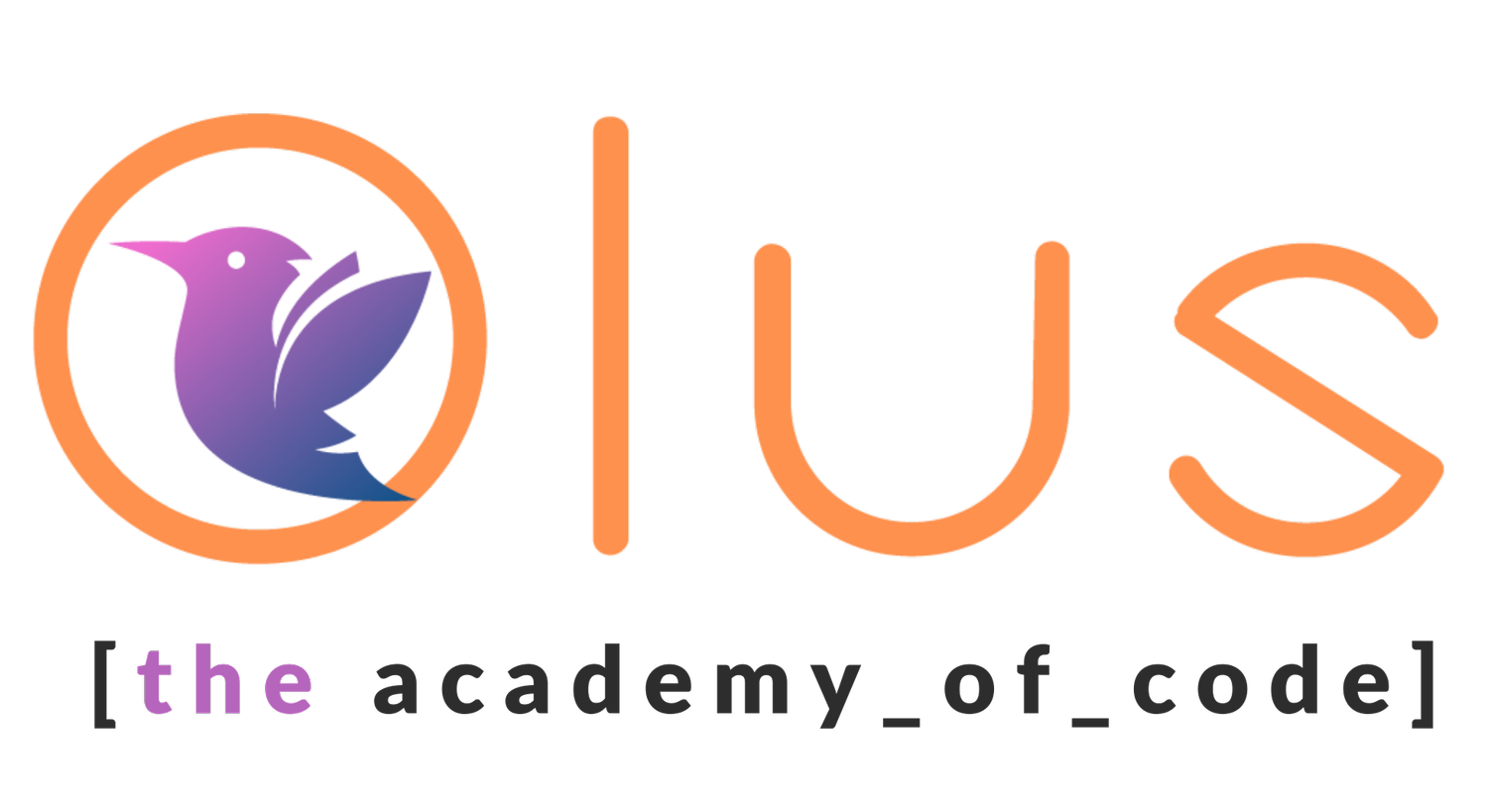 The Academy of Code