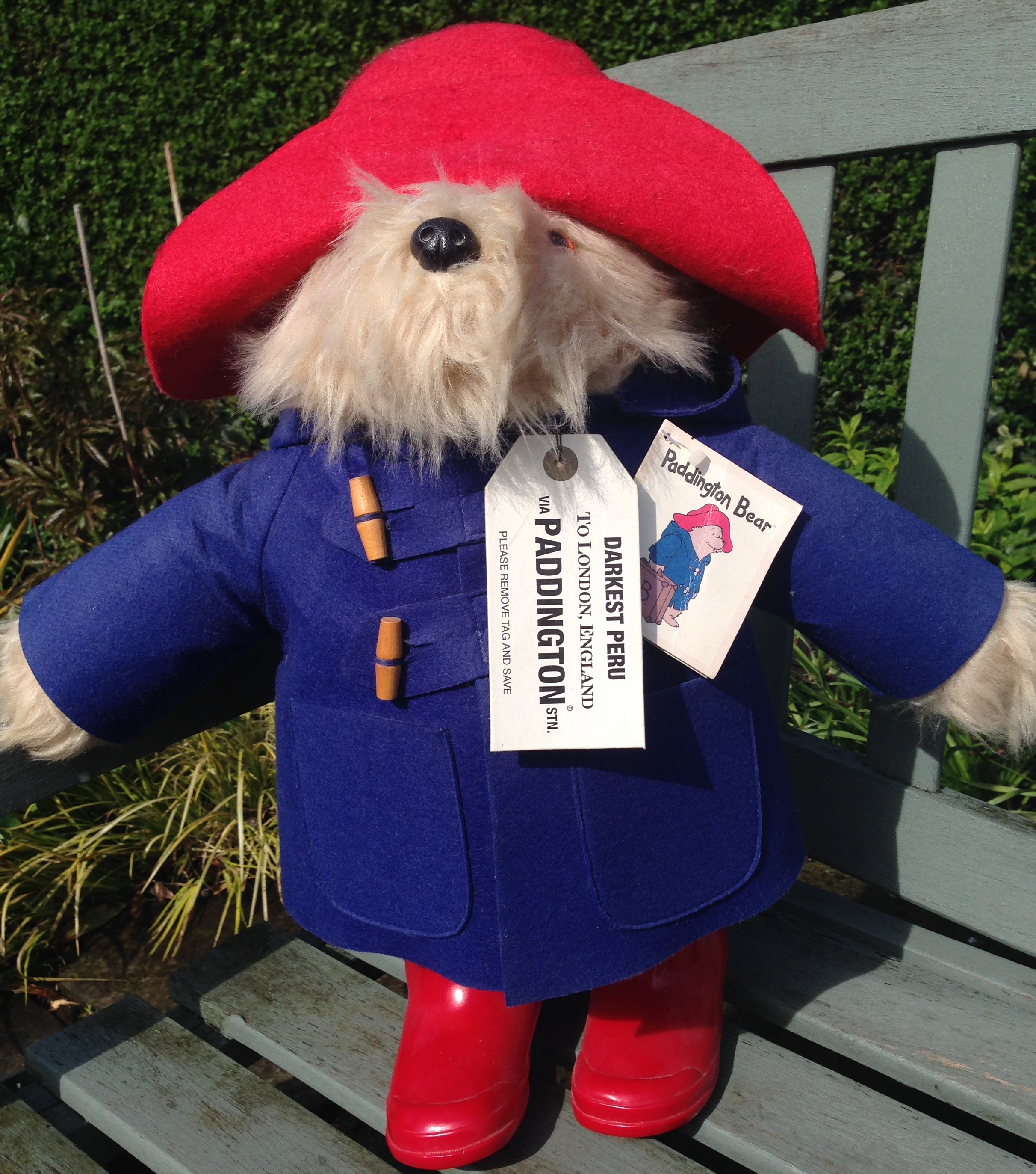 rainbow designs paddington bear