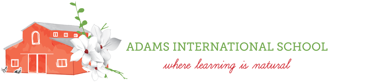 Adams International School