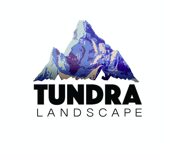 Tundra Landscape 