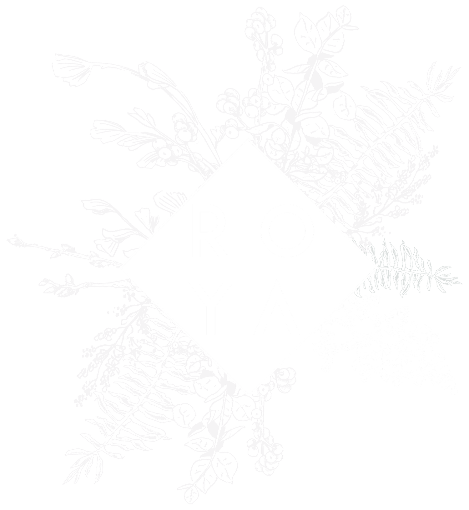 ROYA ANN MILLER PHOTOGRAPHY