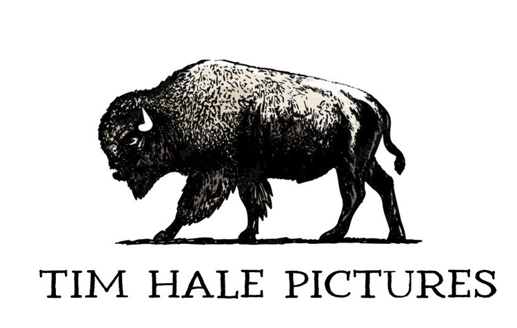 Tim Hale Pictures