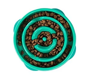 Outward Hound Slow Feeder Bowls Ruff Life Pet Outfitters