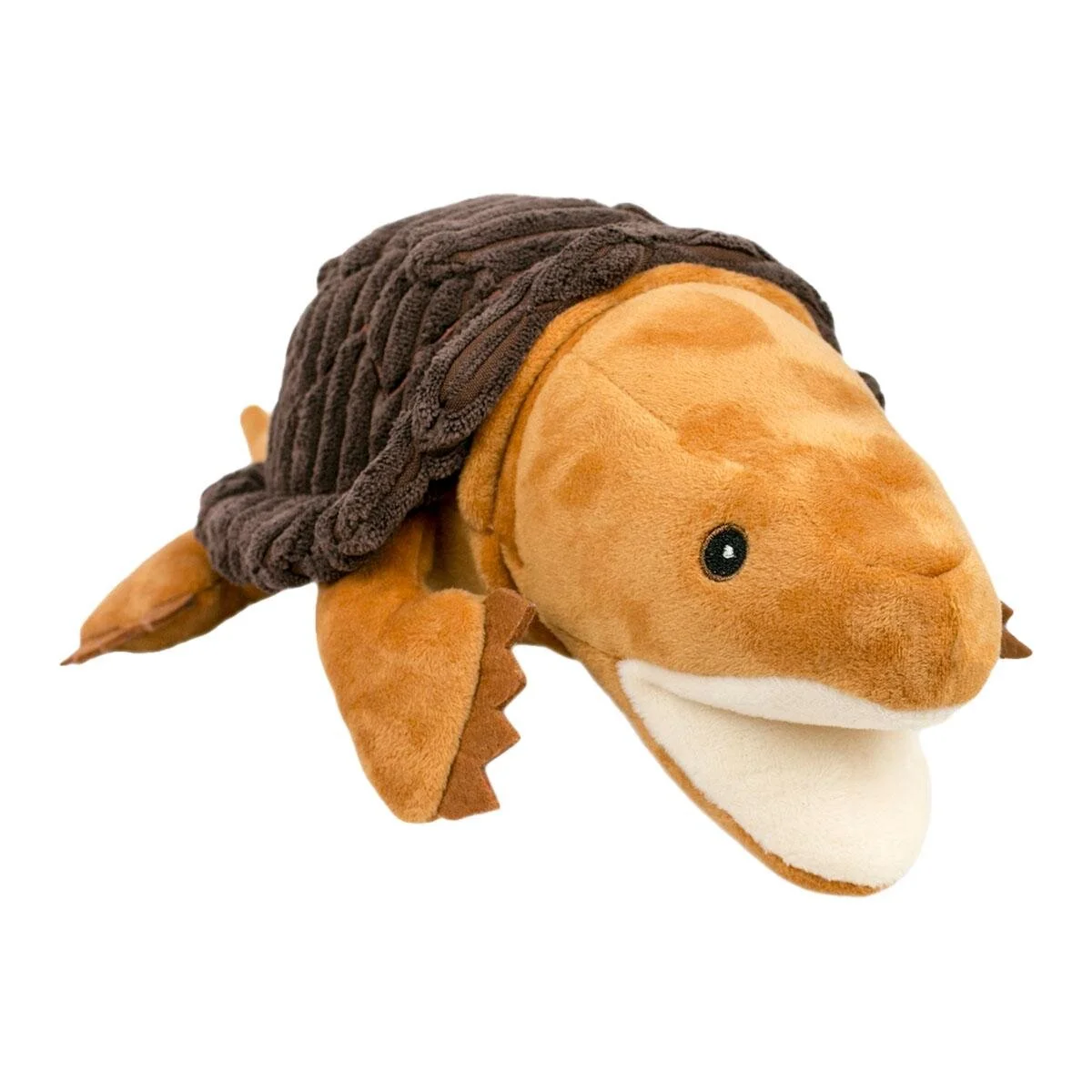dog turtle toy