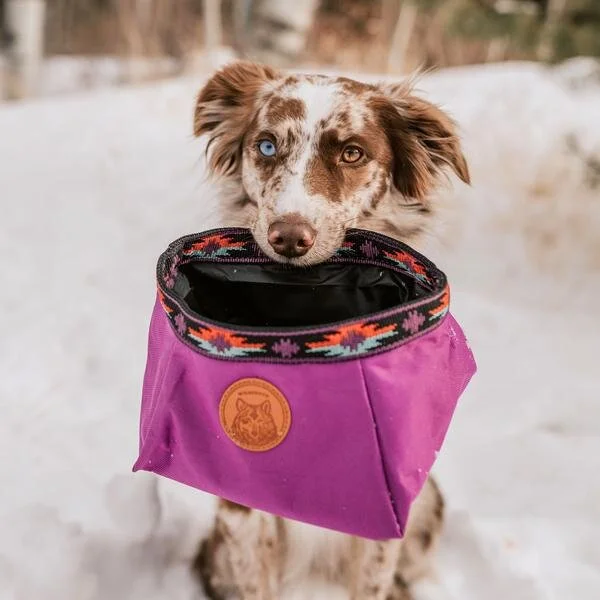 backpacking dog bowl