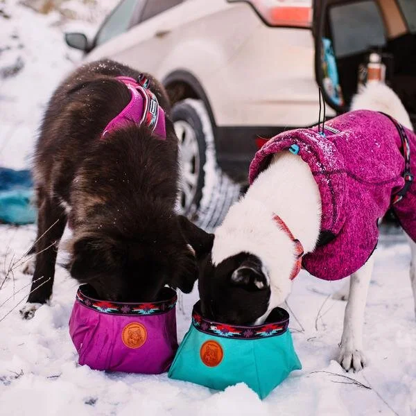 wilderdog jacket