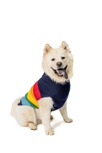 hand knit dog sweaters