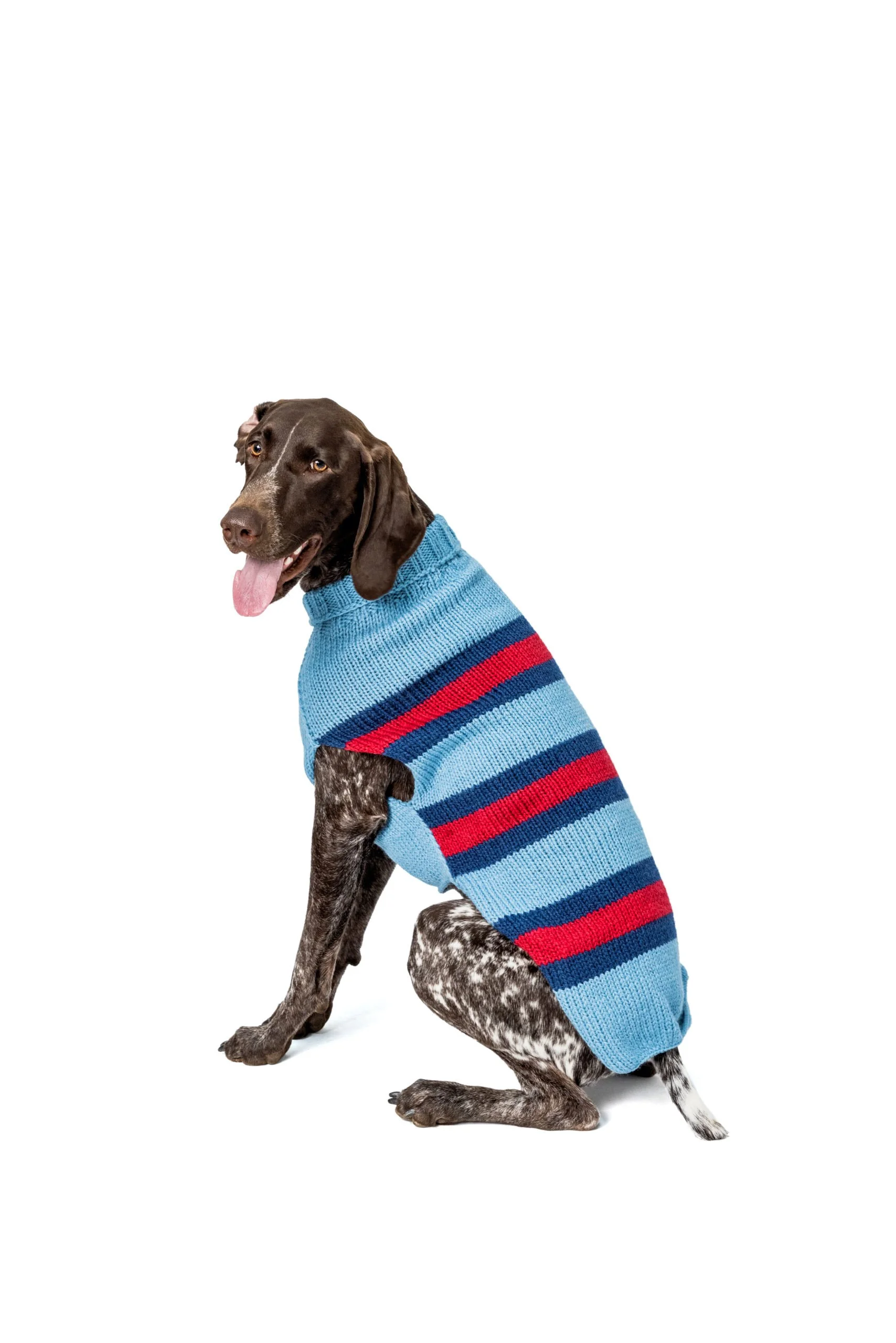 Sky Rugby Alpaca Wool Dog Sweater by 