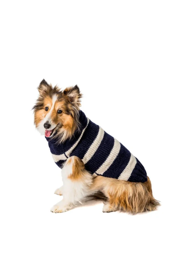 alpaca dog sweaters