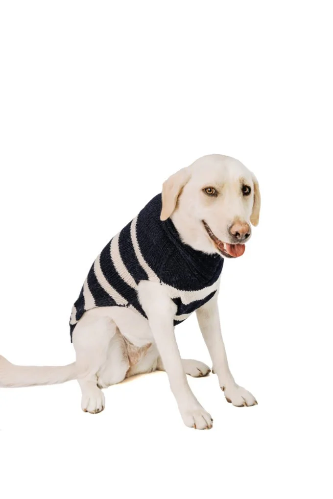 chilly dog sweater size chart