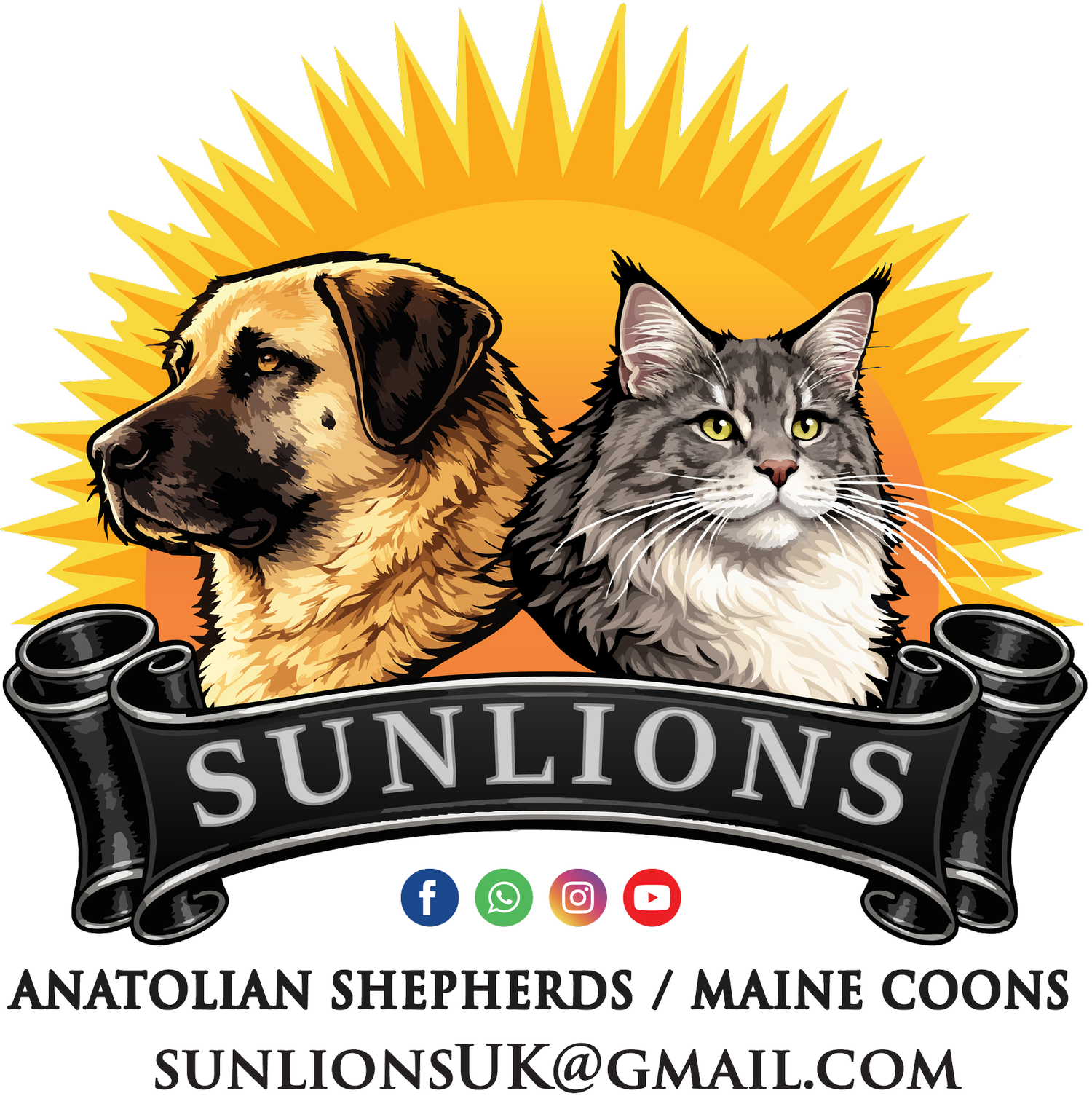 Sunlions Anatolian Shepherds & Maine Coons