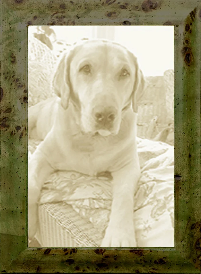 Thin Olive Green Burl Picture Frame Museum Facsimiles