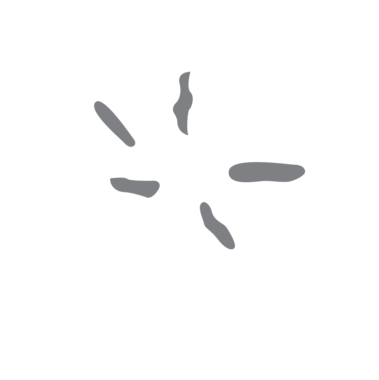 The Ohio State University Men's Water Polo