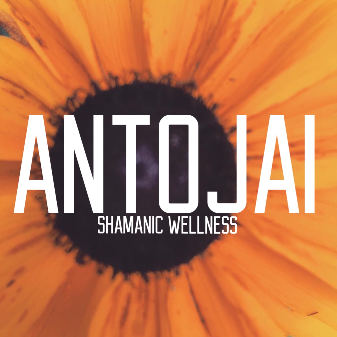 ANTOJAI Shamanic Wellness