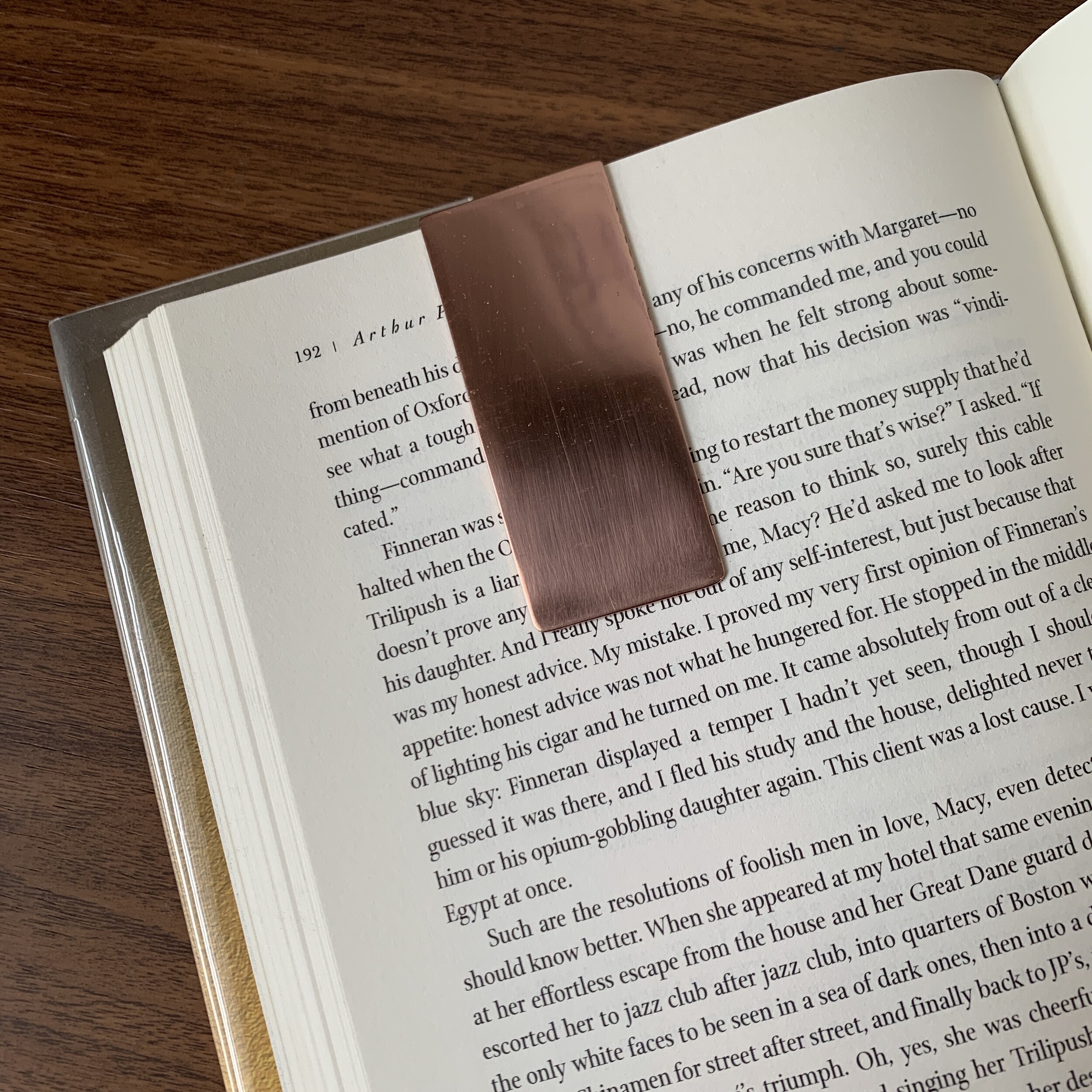 仓库管理系统+ Co Folded Book Weight (Copper Straight)