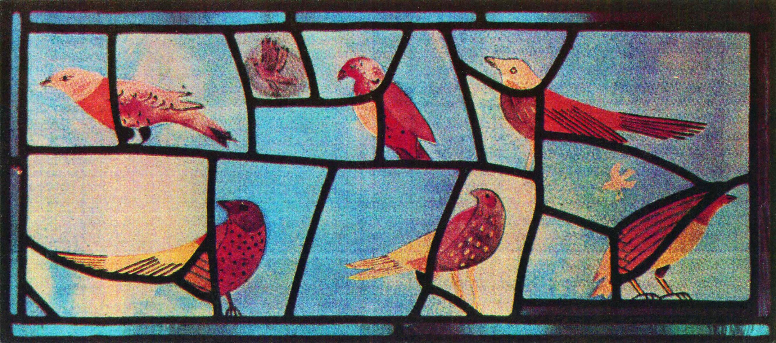 我的鸟窗,1986年