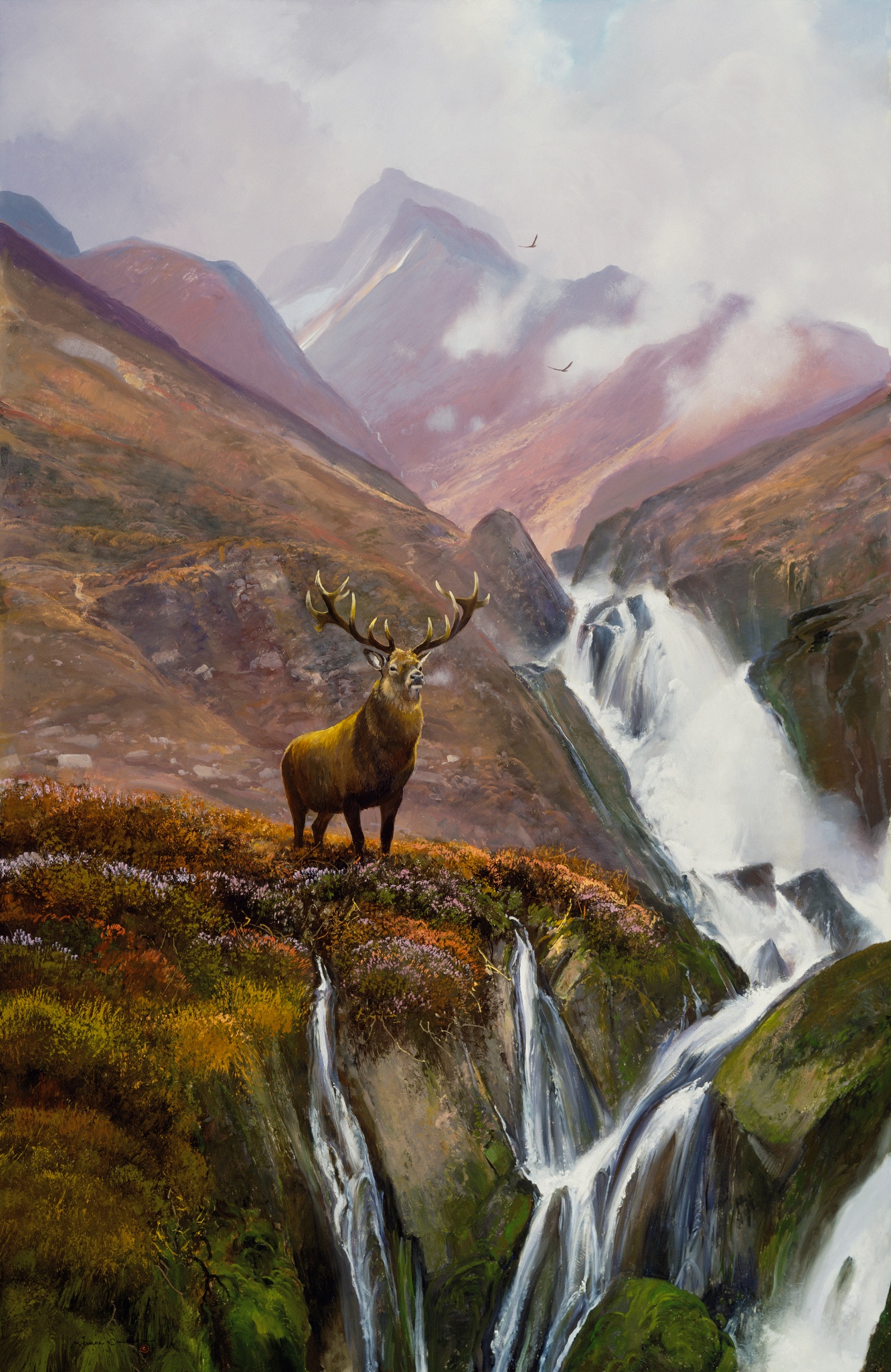 A Scottish Stag Coleman Art