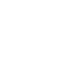 Nicholson LLC