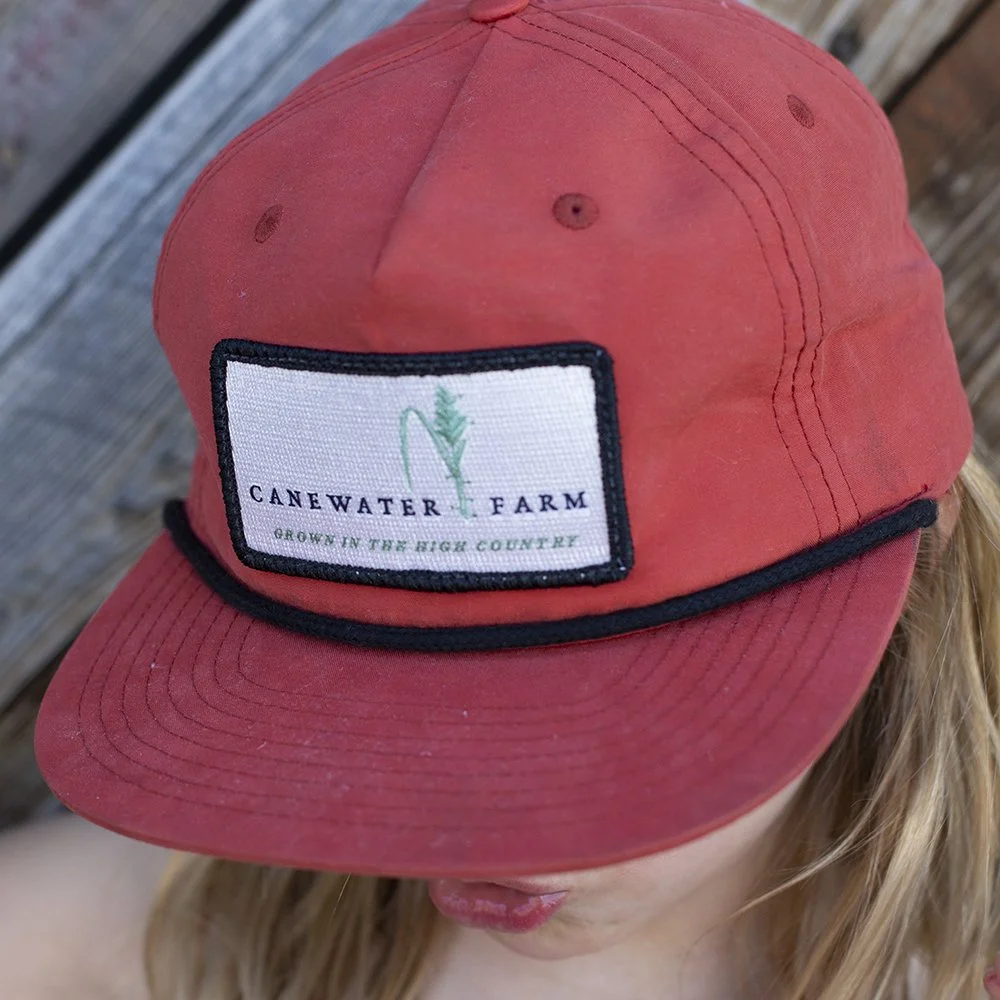 Cane hat sale