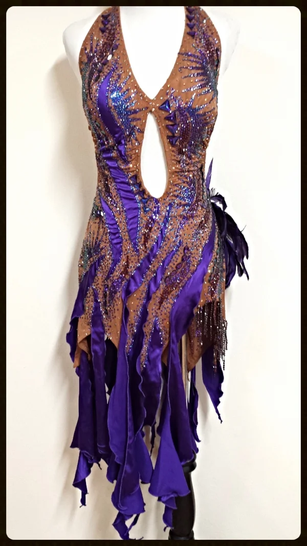 Aphrodite Dazzle Dance Dress Rentals Ballroom Dress Rentals Latin Rhythm Smooth And Standard Ballroom Dresses