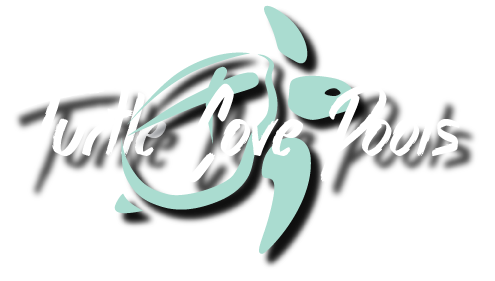 Turtle Cove Pools