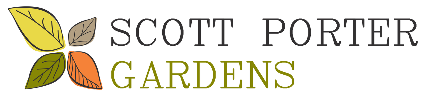 Scott Porter Gardens