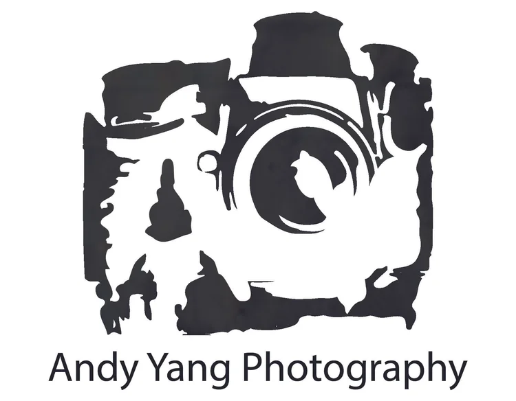 Andy Yang Photography