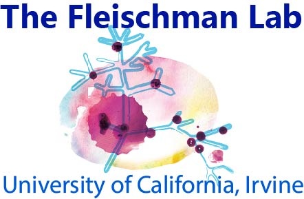 The Fleischman Lab