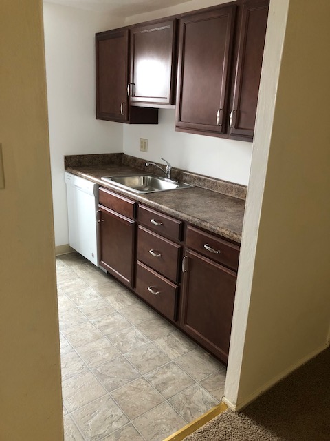411 303 new kitchen.2018.jpg