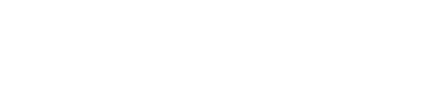 The Matthew S. Hisiger Film Foundation