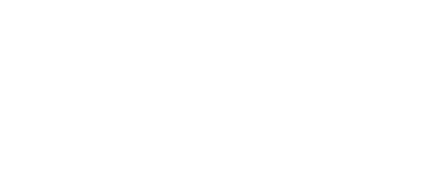 McCall Party Rentals