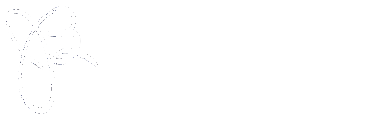 JANE W BUNGE