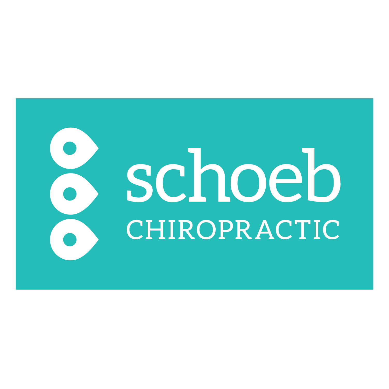 Schoeb Chiropractic