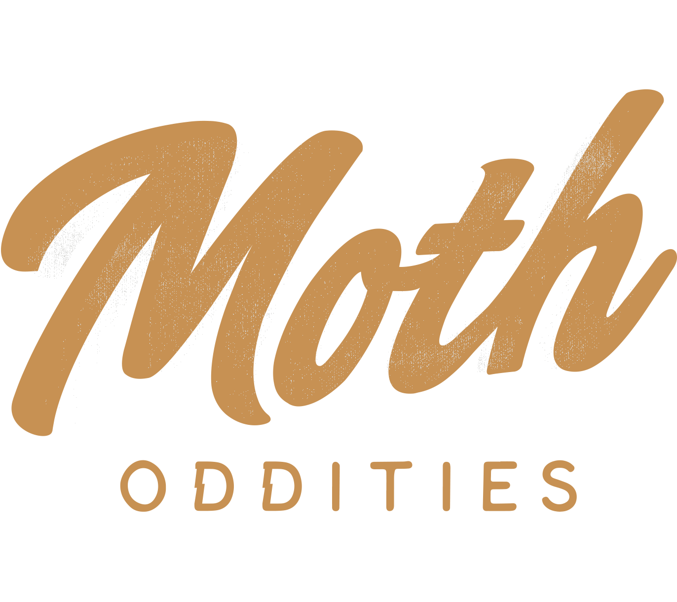 MOTH ODDITIES