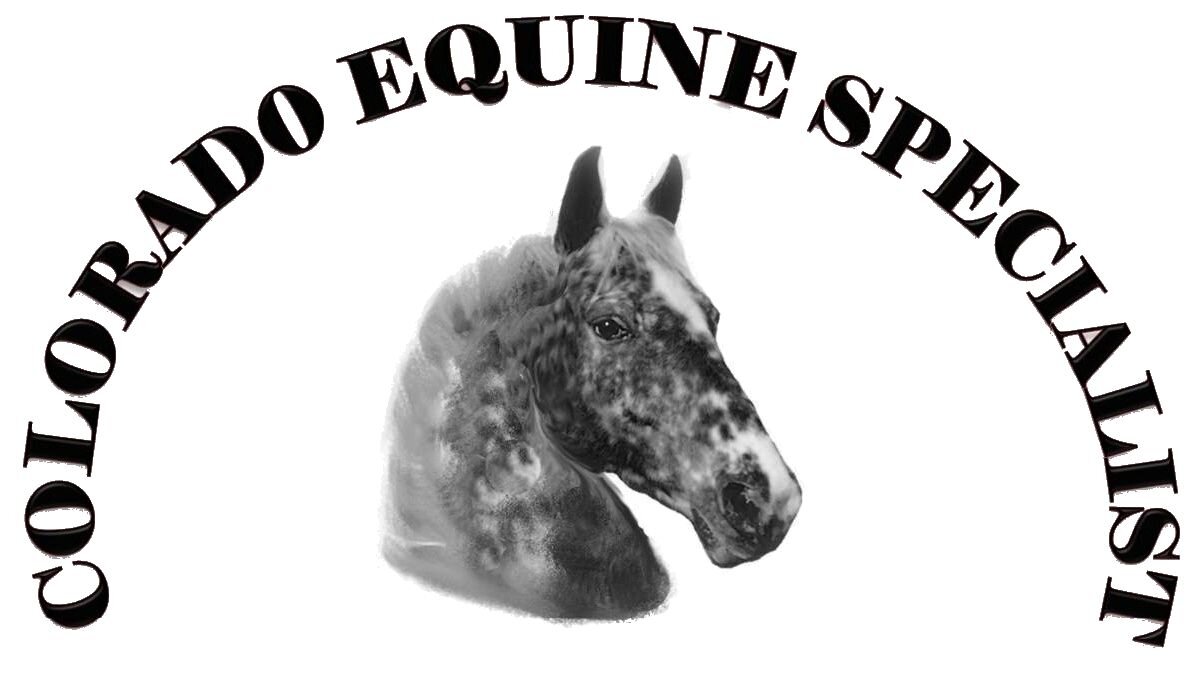 Colorado Equine Specialist