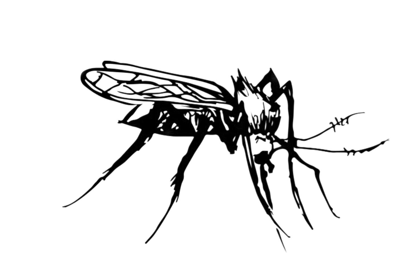 Mosquito Supper Club