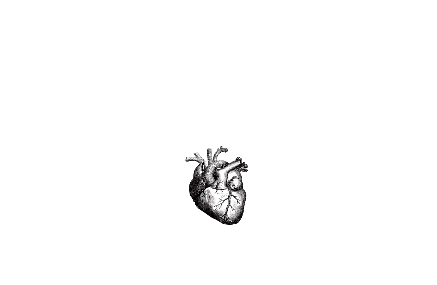 David Blakeslee Photography