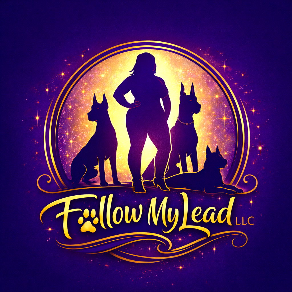 Follow My Lead