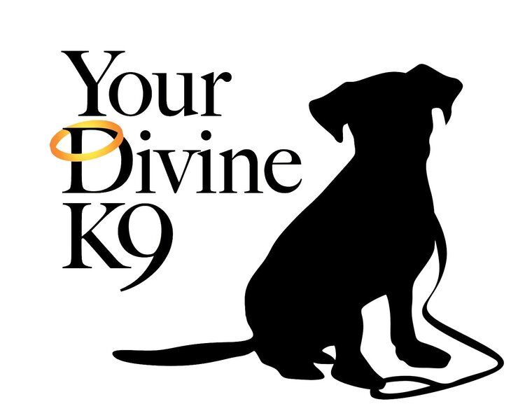 Your Divine K9