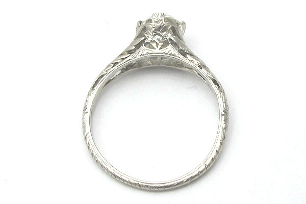 RW01268C.jpg