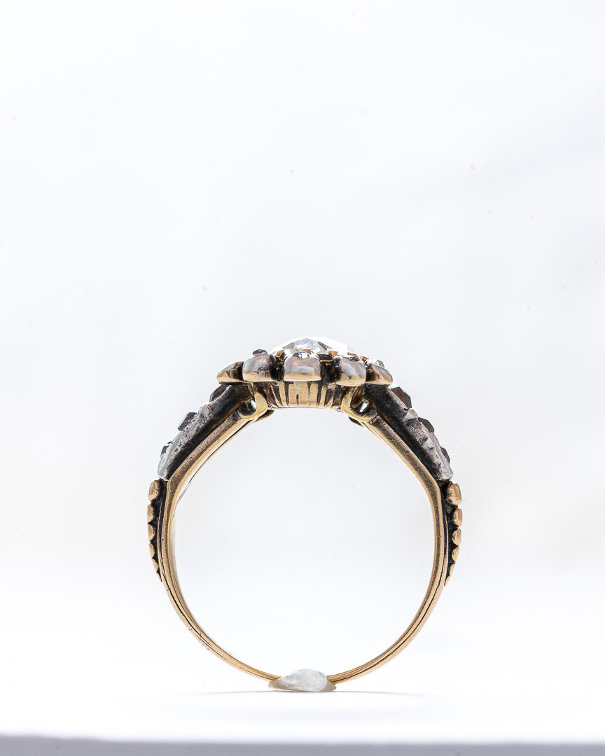 RW01489-C.jpg