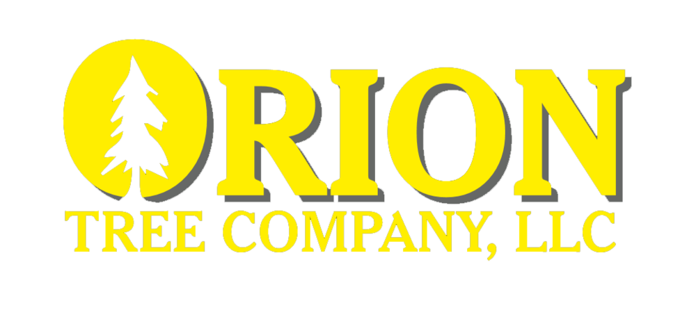 Orion Tree Company