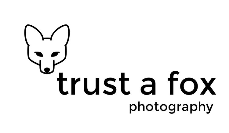 Trust a Fox music photographer manchester uk
