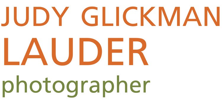 Judy Glickman Lauder Photographer
