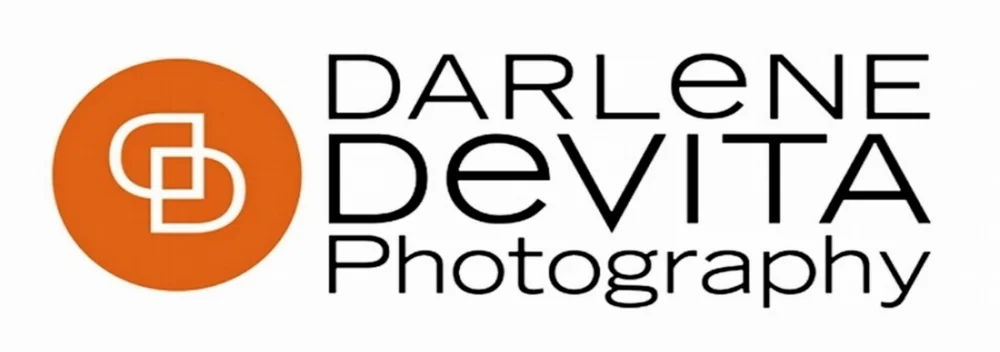 Darlene DeVita Studio