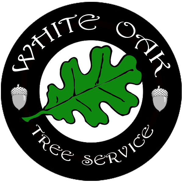 White Oak Tree Service