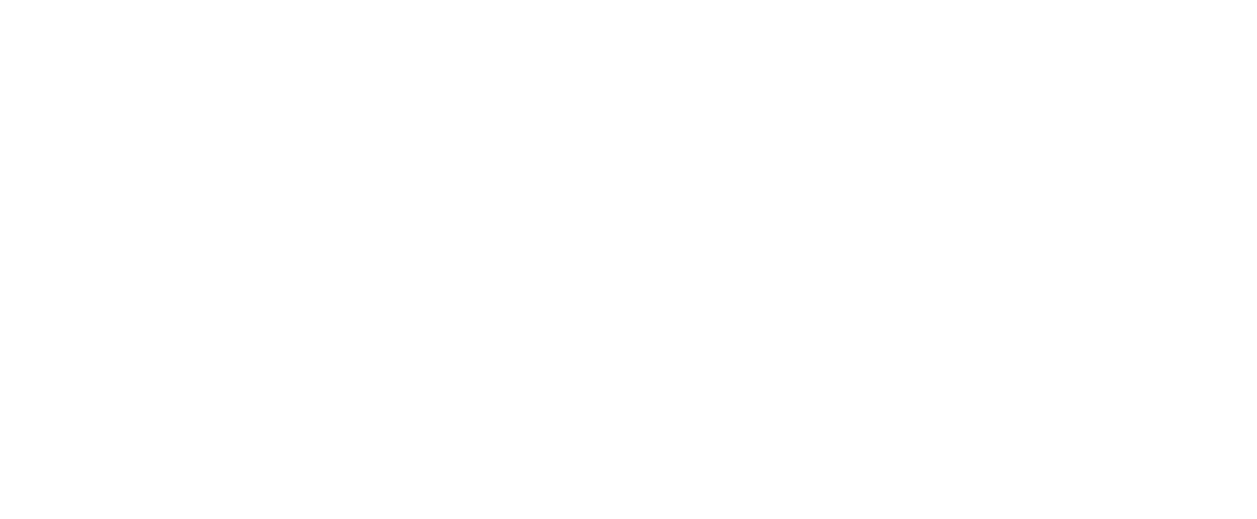 Stewart LifePlanning