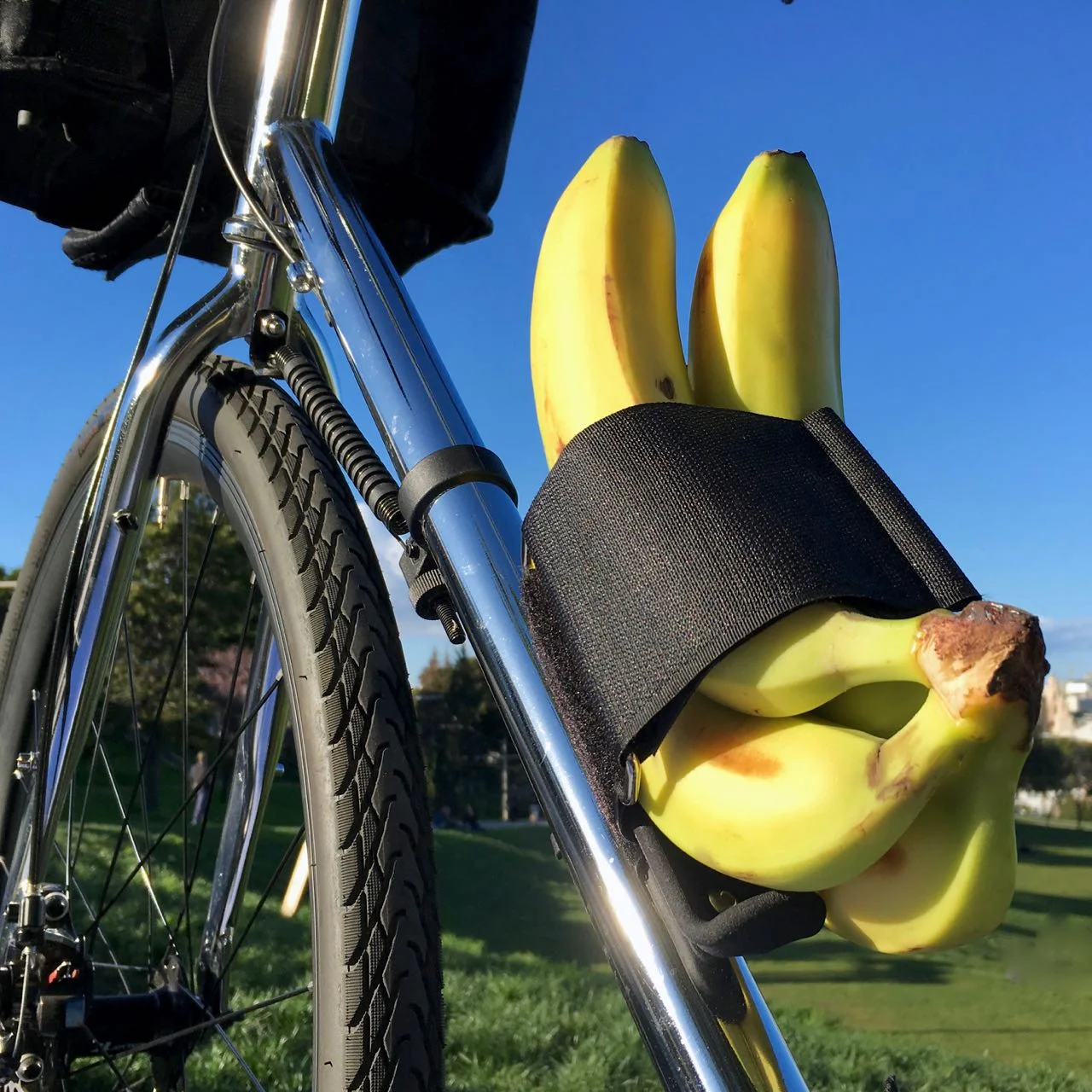 bike strap
